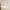 Roller Blinds