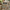 Patterned / Floral Upholstery Fabrics