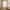 Linen Curtains