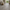 Vinyl Floors