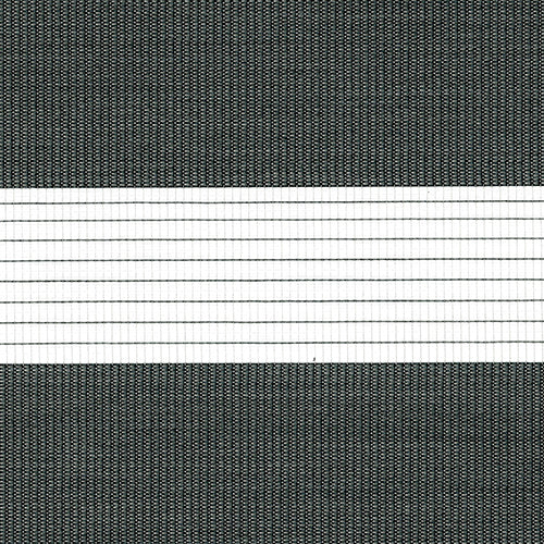 Zebra Vision Blinds