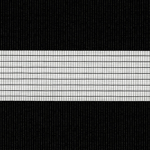 Zebra Vision Blinds