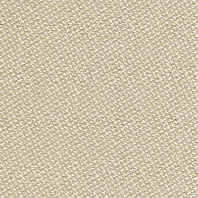 Buffa Outdoor Upholstery Fabric