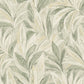 Calypso Wallpaper
