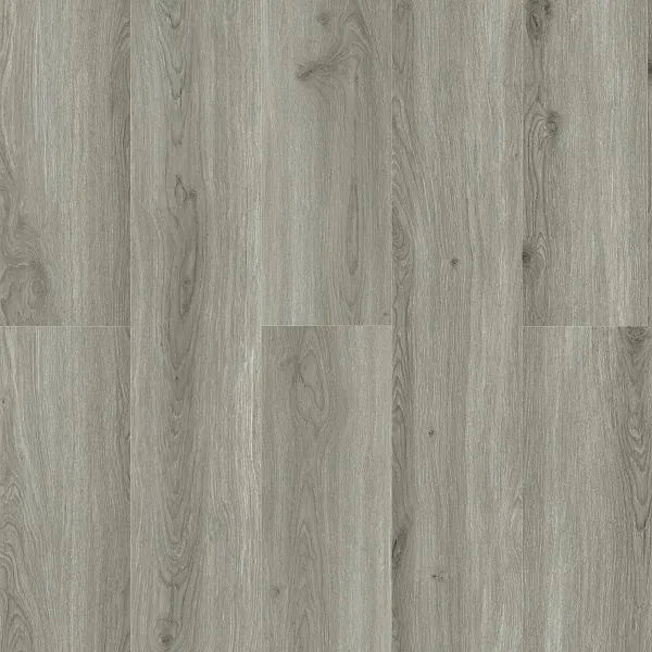 Exotic Floor Range Excel 4v Widebody