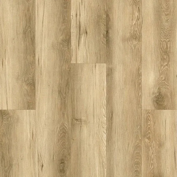 Exotic Floor Range Excel 4v Widebody