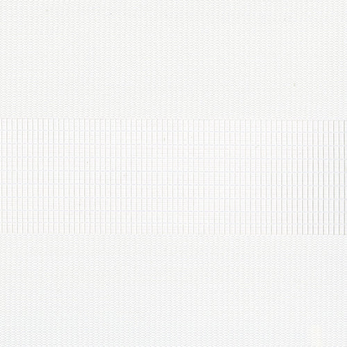 Zebra Vision Blinds