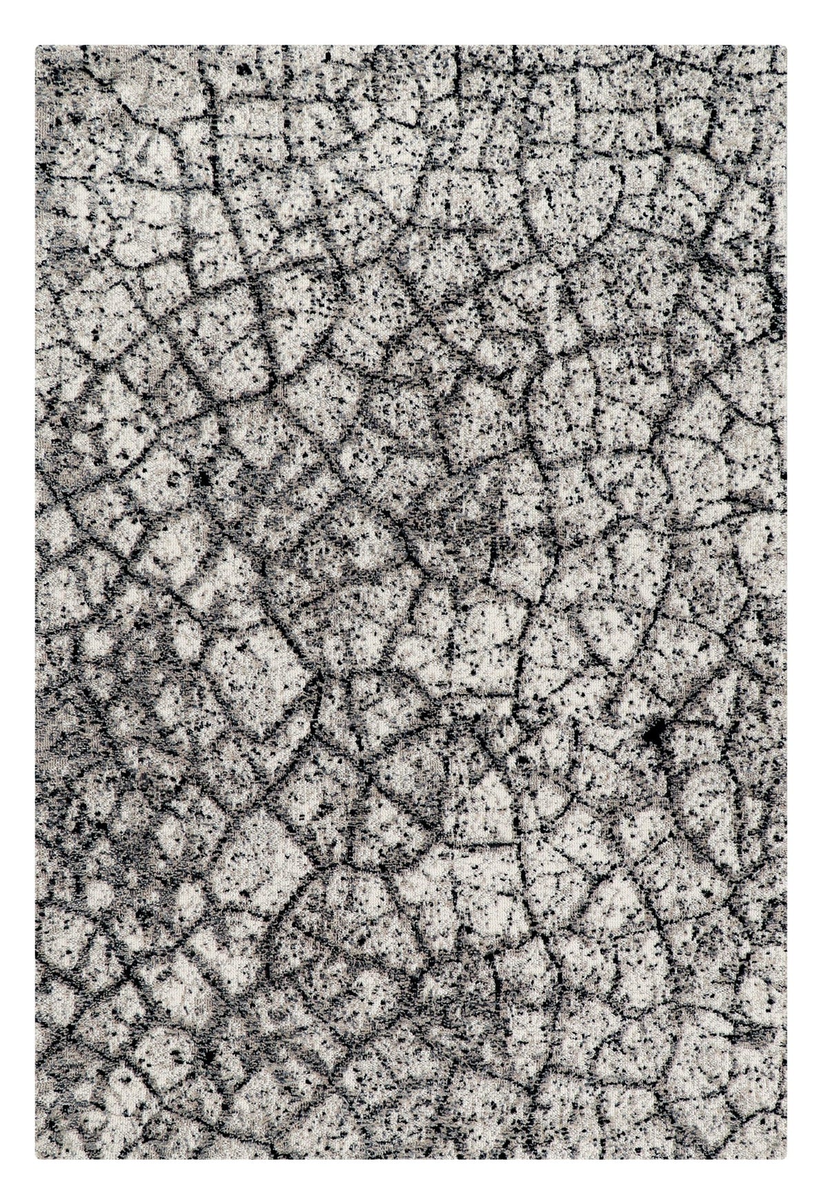 Lynx Rugs