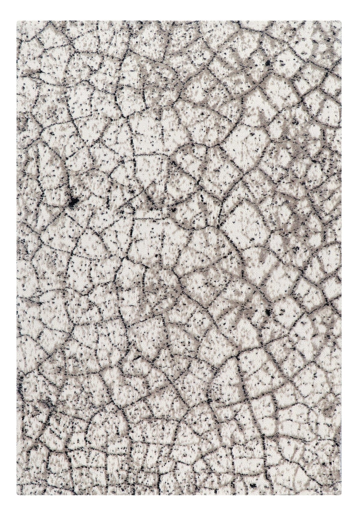 Lynx Rugs