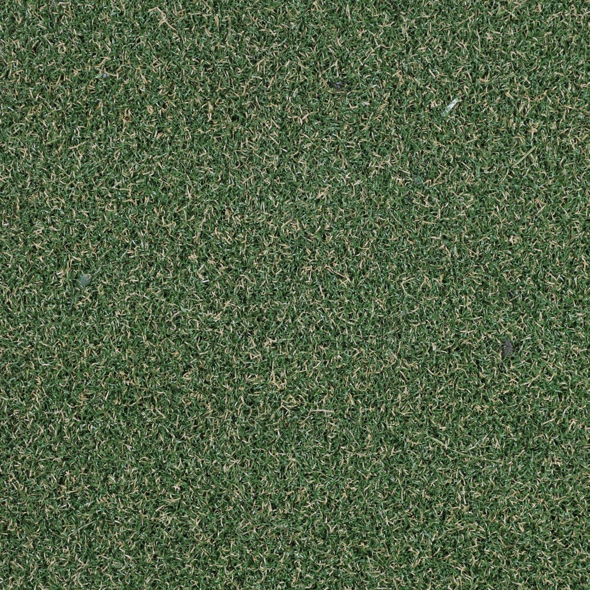 Mundo 10 Artificial Grass