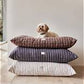 Pet Cushion Cleaning