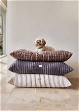 Pet Cushion Cleaning