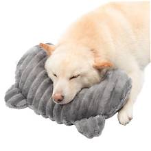 Pet Pillow Cleaning