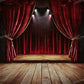 Stage Curtain Cleaning