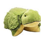 Pet Pillow Cleaning