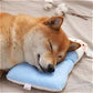 Pet Pillow Cleaning