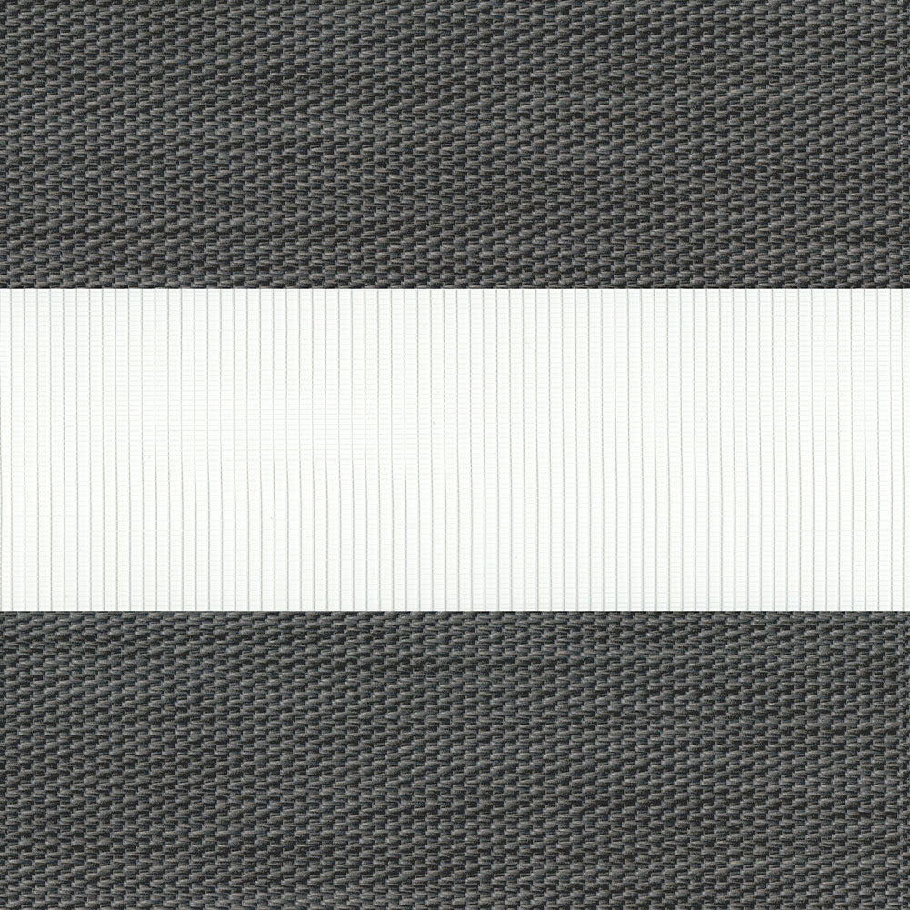 Zebra Palermo