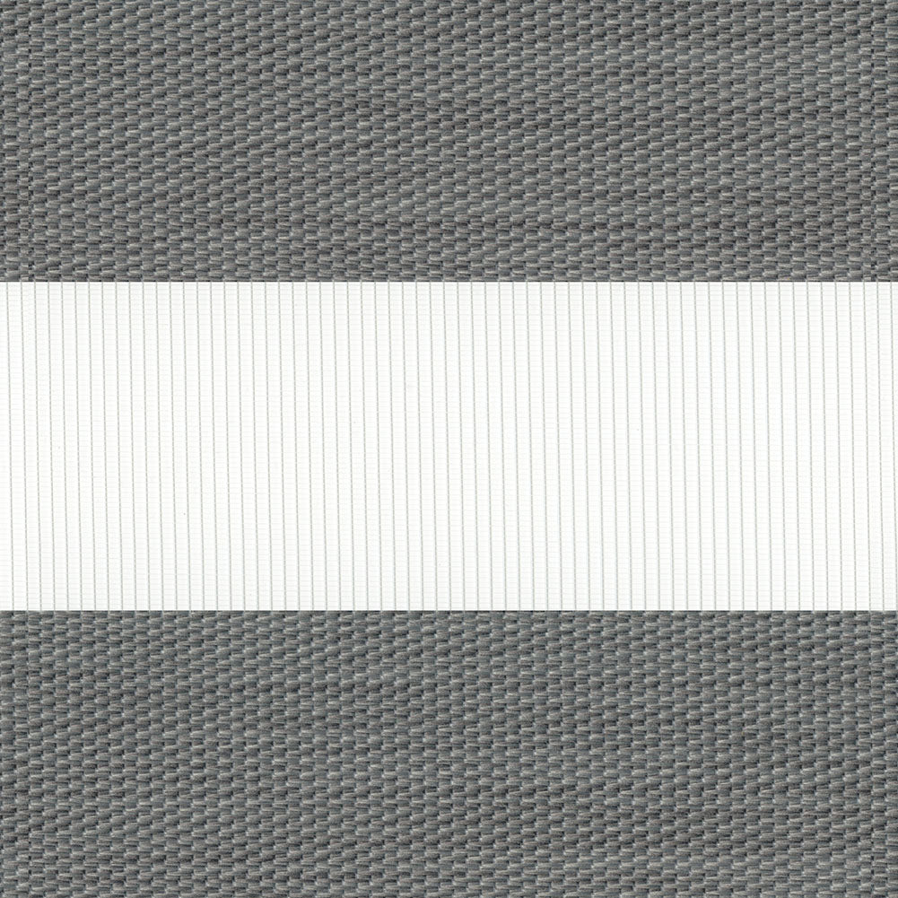 Zebra Palermo