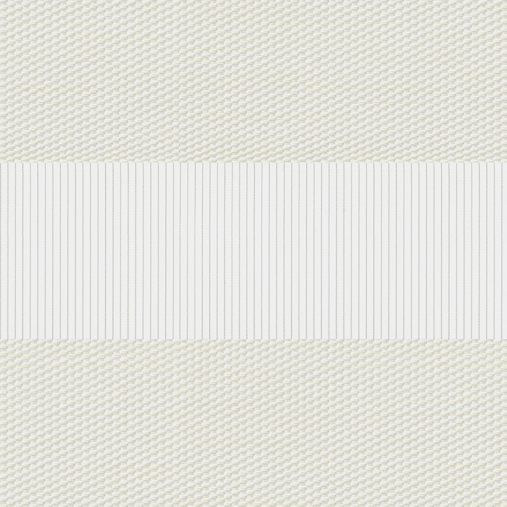 Zebra Palermo