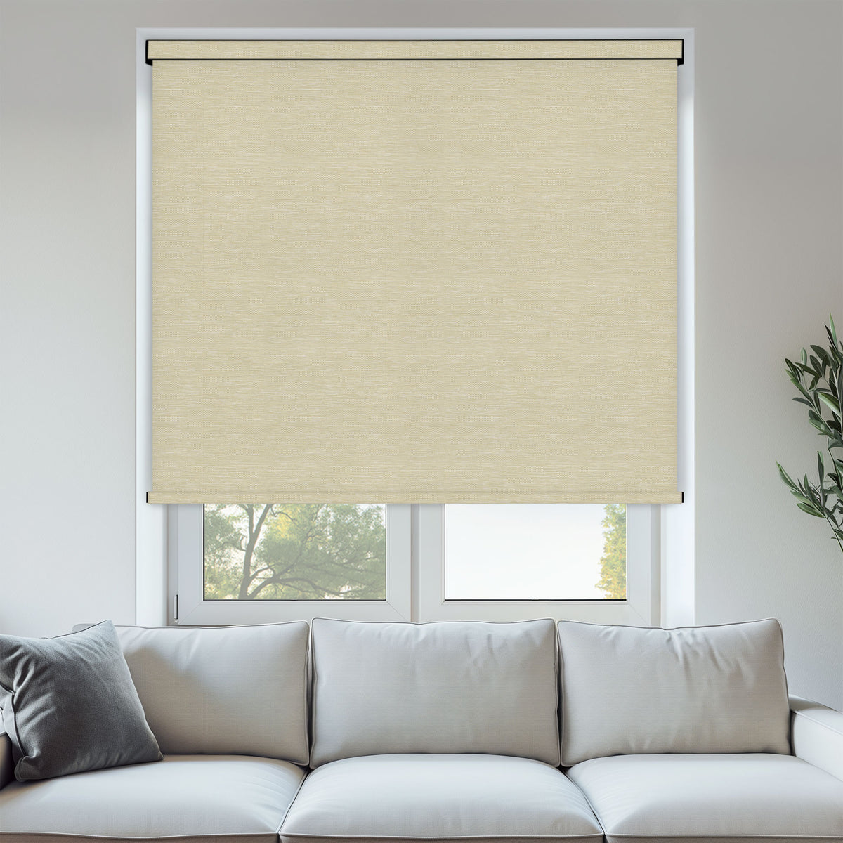 Oxford Filter Light Filtering Roller Blinds