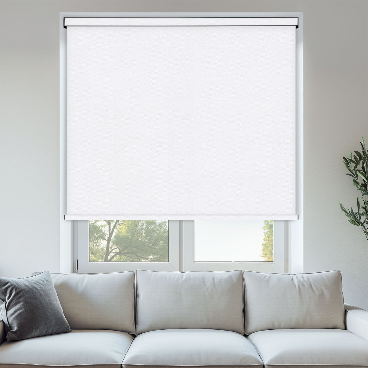 Pop Filter Light Filtering Roller Blinds