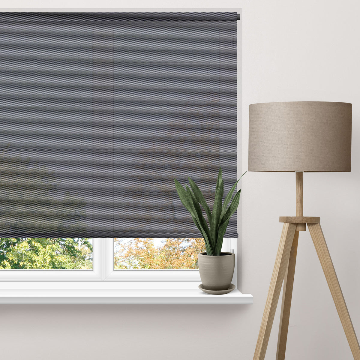 10 Screen Roller Blinds