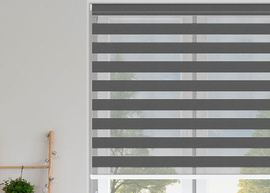 Zebra Vision Blinds