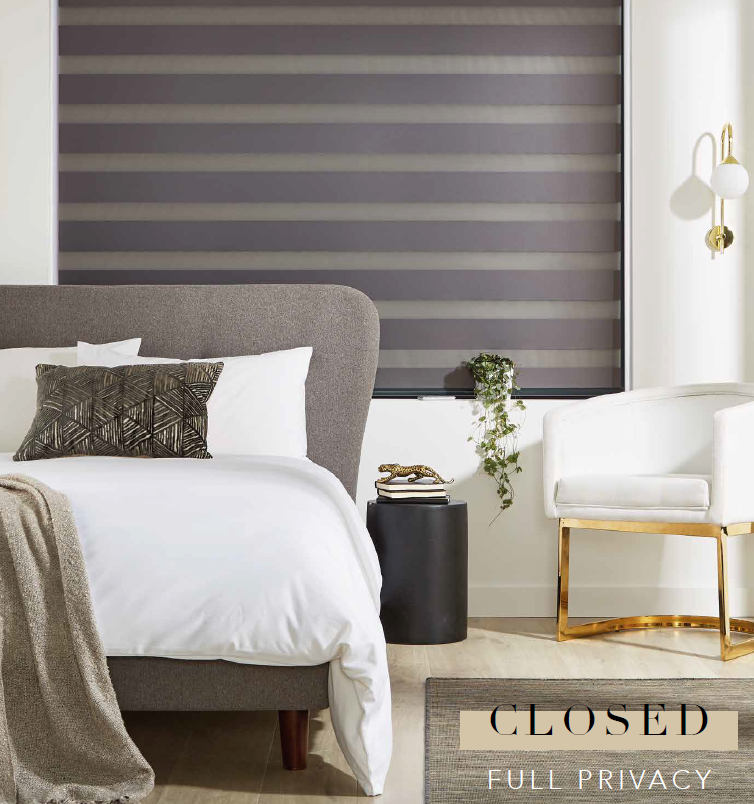 Zebra Vision Blinds