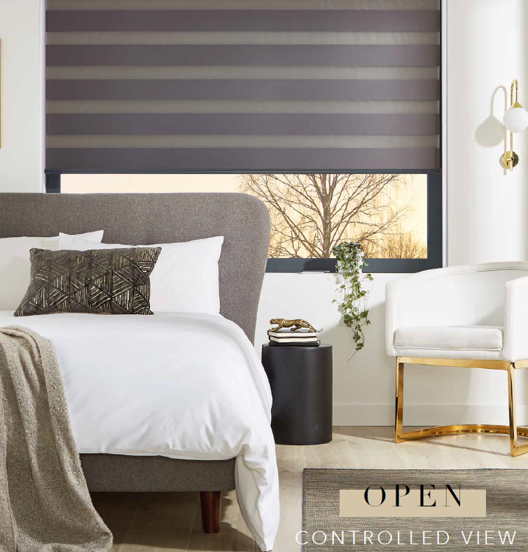 Zebra Vision Blinds