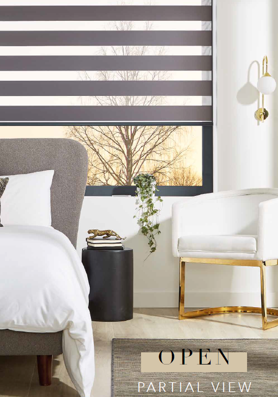Zebra Vision Blinds