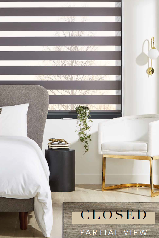 Zebra Vision Blinds